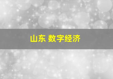 山东 数字经济